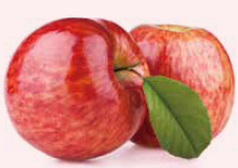 リンゴ幹細胞